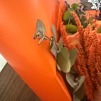 Solmuş Ve Çürümüş Çiçekler, İlgisiz Müşteri Hizmeti