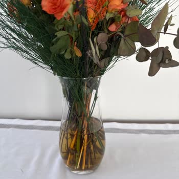 Solmuş Ve Çürümüş Çiçekler, İlgisiz Müşteri Hizmeti