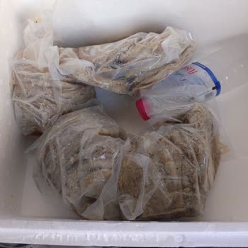 Kampanyalı Kokoreç Siparişimde Eksik Ve Yanlış Ürün Gönderildi