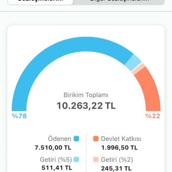 BES İptalinde Altın Fon Getirisi Ve Kesinti Mağduriyeti Yaşadım