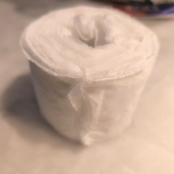 Maylo Tuvalet Kağıdı Ve Kağıt Havlular: Korku Ve Tiksinti Yaratan Deneyim