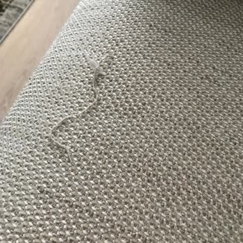 Mobilyada Tiftiklenme Sorununa Çözüm Bulunmuyor