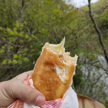 Bir Fast Food Şubesinde Satılan Ürünlerde Küf ve Gıda Güvenliği Sorunu