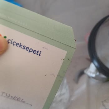 Sipariş Edilen Çiçek Ve Saksı Beklenenden Kötü Durumda Geldi