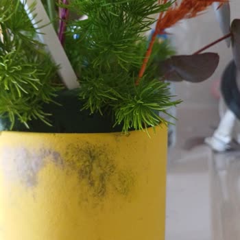 Sipariş Edilen Çiçek Ve Saksı Beklenenden Kötü Durumda Geldi