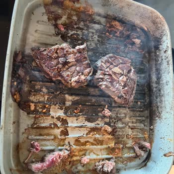 Yapışmaz Özellikli Tava Kullanımında Karşılaşılan Sorun Ve Destek Eksikliği