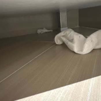 Temizlik Hizmeti Sonrası Memnuniyetsizlik Ve Fiyat Anlaşmazlığı