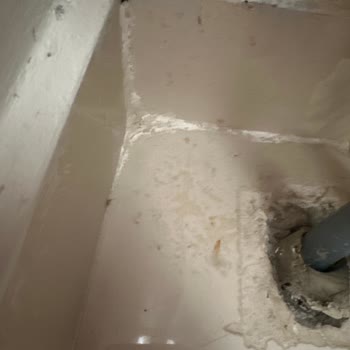 Temizlik Hizmeti Sonrası Memnuniyetsizlik Ve Fiyat Anlaşmazlığı