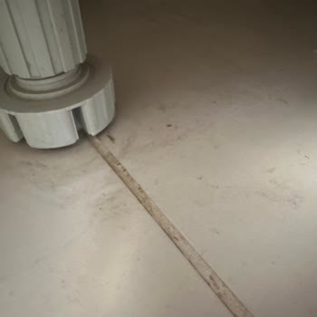 Temizlik Hizmeti Sonrası Memnuniyetsizlik Ve Fiyat Anlaşmazlığı