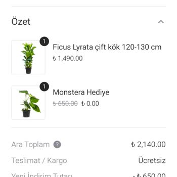 Siparişimde Belirtilen Uzunlukta Ficus Lyrata Gönderilmedi, İletişime Cevap Yok