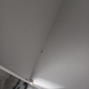 Eksik Ve Kusurlu Ürün, Çözümsüz İade Süreci: Trendyol Mağduriyeti