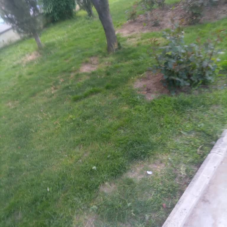 Diyanet İşleri Başkanlığı Çocuk Parkında İhmal Ve Yetersiz Bakım Şikayeti