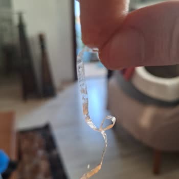 Harras Barbunya Pilaki İçinden Plastik Şerit Çıktı