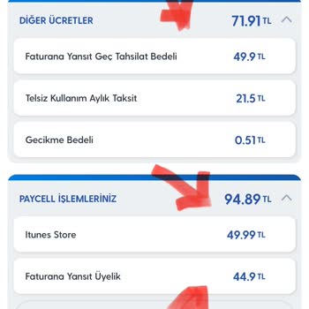 Faturamın Haksız Yere Yüksek Gelmesi Ve Onaysız İşlemlerden Şikayetçiyim