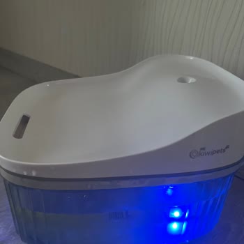 Kiwi Kedi Su Pınarı İki Haftada Bozuldu