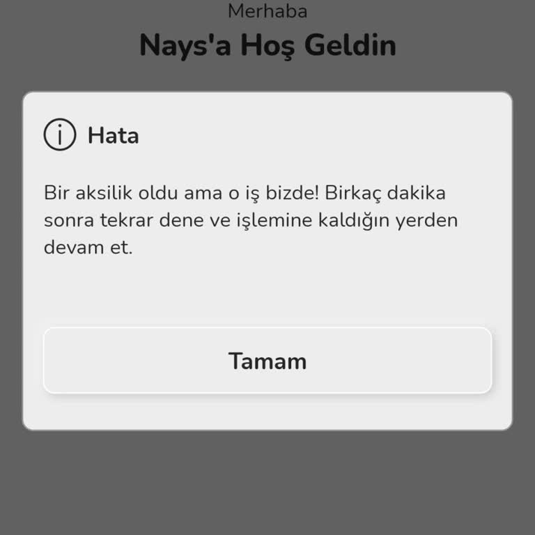 Nays Uygulamasında Sürekli Teknik Sorunlar Ve Yetersiz Destek