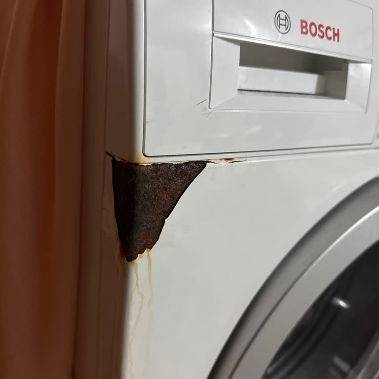 Çamaşır Makinesinde Boya Atması Ve Paslanma Sorunu
