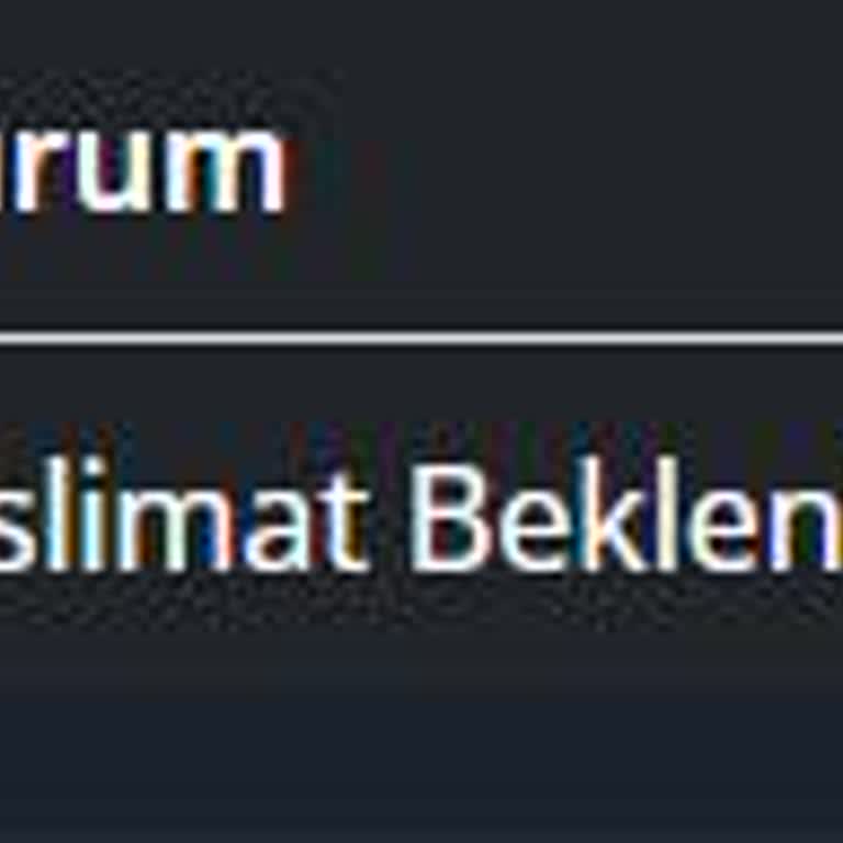 Satın Alınan Steam Key Teslim Edilmedi, Destek Yanıt Vermiyor