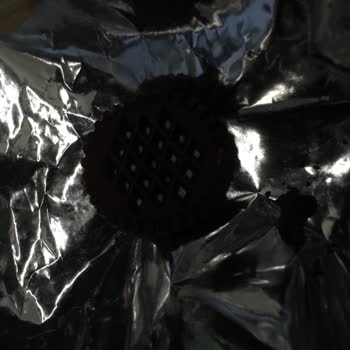 Eti Nero Bisküvisinde Yabancı Maddeyle Karşılaşmak Büyük Hayal Kırıklığı