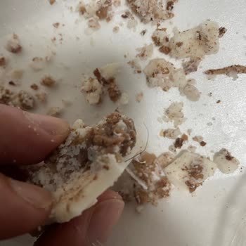 Dana Kavurmada Yağın İçinde Kıl Şoku