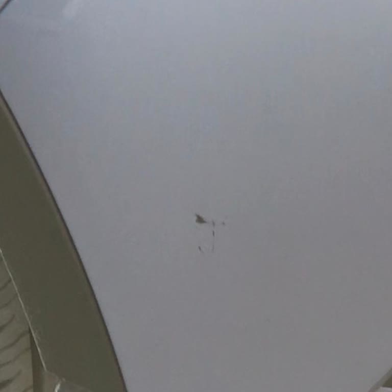 Rent Go Araç Kiralamada Haksız Hasar Suçlaması Ve Mağduriyet