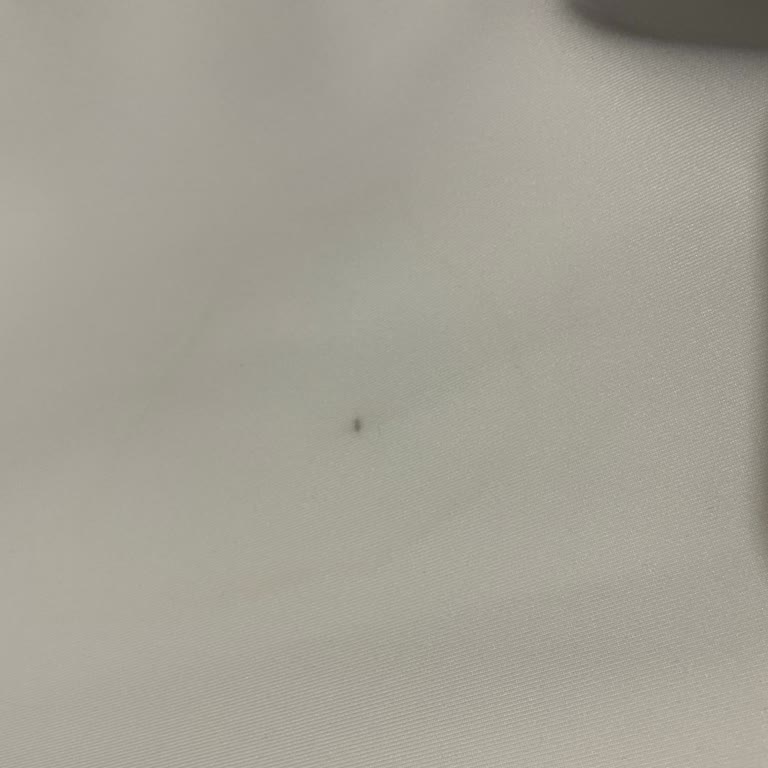 Lekeli Ürün Ve Yetersiz Müşteri Hizmeti Deneyimi