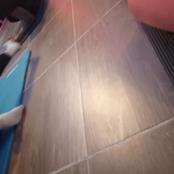 Wac World Athletic Club Rezervasyon Sorunu