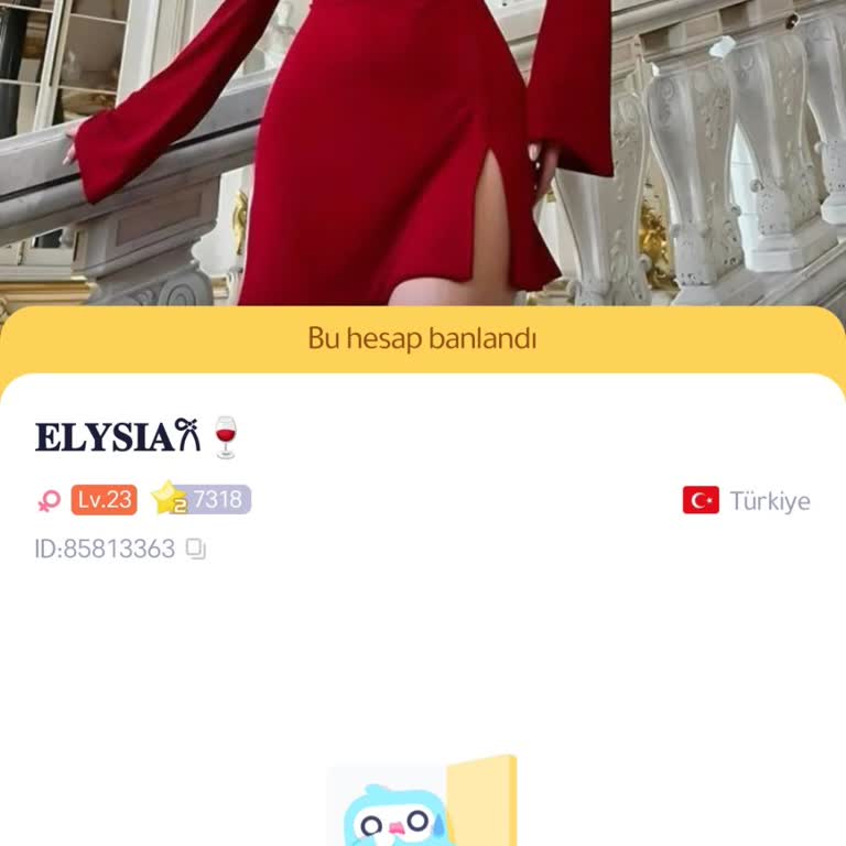 Hesabım Haksız Yere Cihaz Banı Aldı, Yardım Bekliyorum