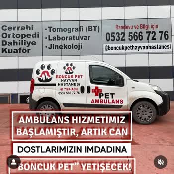 Boncuk Pet Hayvan Hastanesi Para Odaklılar!