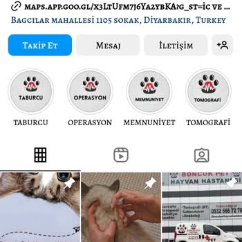 Boncuk Pet Hayvan Hastanesi Para Odaklılar!