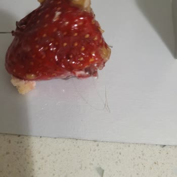 Aldığım Pastada Çileğin Üzerinde Kıl Çıkması Hayal Kırıklığı Yarattı