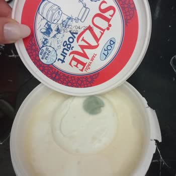 Son Kullanma Tarihi Geçmemiş Yoğurt Küflü Çıktı