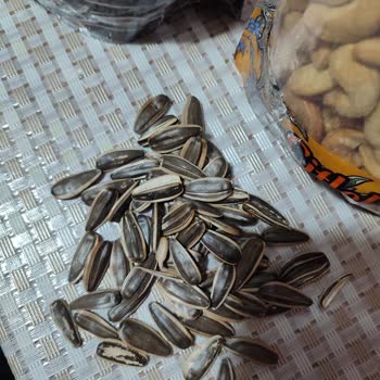 Çekirdeklerin Kalitesi Ve Lezzeti Hayal Kırıklığı Yarattı