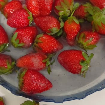 Aldığım Çileklerin Yarısı Bozuk Ve Küflü Çıktı