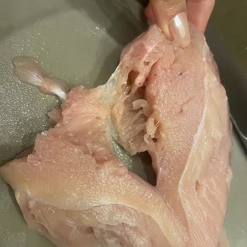 Gedikten Aldığım Tavuk Göğsünde Sürekli Kalite Ve Sağlık Sorunu
