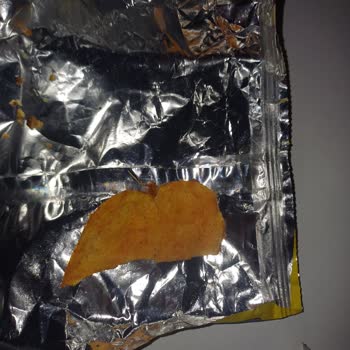 Lays Cipsin İçinde Böcek Çıkması Nedeniyle Hijyen Endişesi Ve Mağduriyet