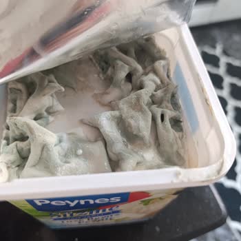 Tarihi Geçmemiş Peynirin Bozuk Çıkması Ve Sağlık Endişesi