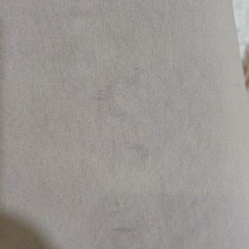 Şehr-i Şal Kalitesizliği