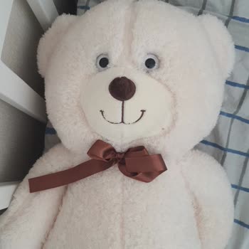 Sipariş Ettiğim Ürün Görseldekiyle Alakasız Çıktı, Yanıltıldım