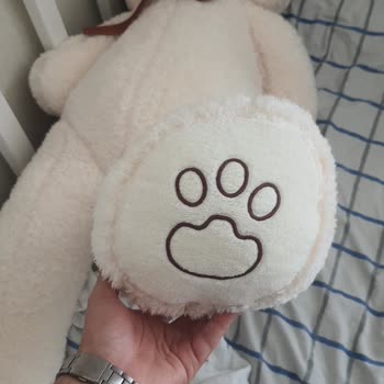 Sipariş Ettiğim Ürün Görseldekiyle Alakasız Çıktı, Yanıltıldım