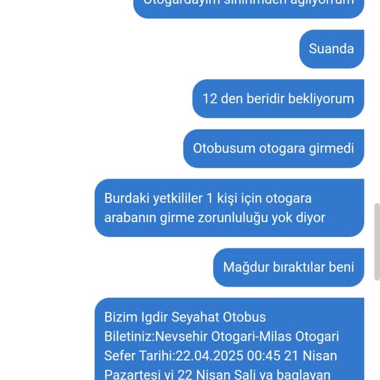 Otobüs Otogara Girmedi, Mağdur Edildim Ve Ek Masraf Çıktı