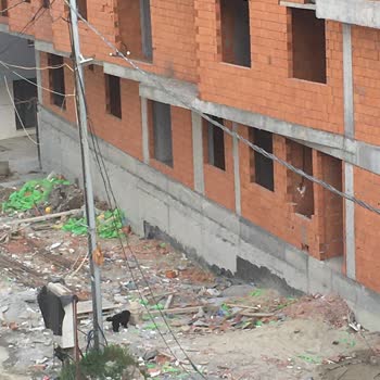 Kopan İnternet Kablosu 1 Haftadır Onarılmadı, Çözüm Bekliyorum