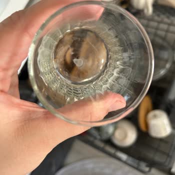 Vestel BM 4202 WiFi Bulaşık Makinesinde Temizlik Ve Koku Sorunu