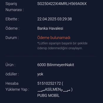 Satın Alınan UC'ler Hesabıma Yansımadı