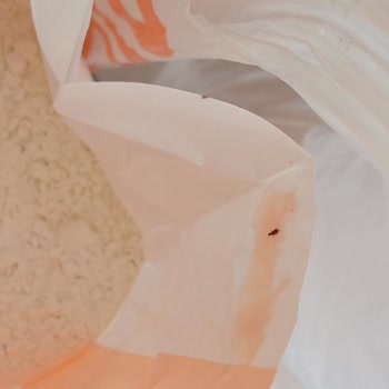 Aldığım Unun İçinden Böcek Ve Bit Çıktı, Acil Denetim İstiyorum