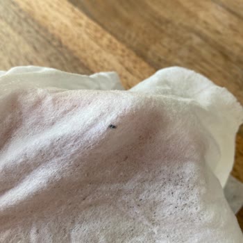 Yüzey Temizleme Mendilinde Beklenmedik Siyah Parça İle Karşılaştım