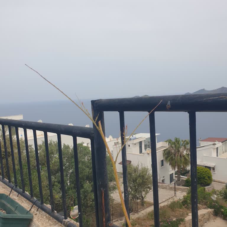 Sipariş Edilen Ürünün Görselden Farklı ve Eksik Gelmesi Hakkında Şikayet