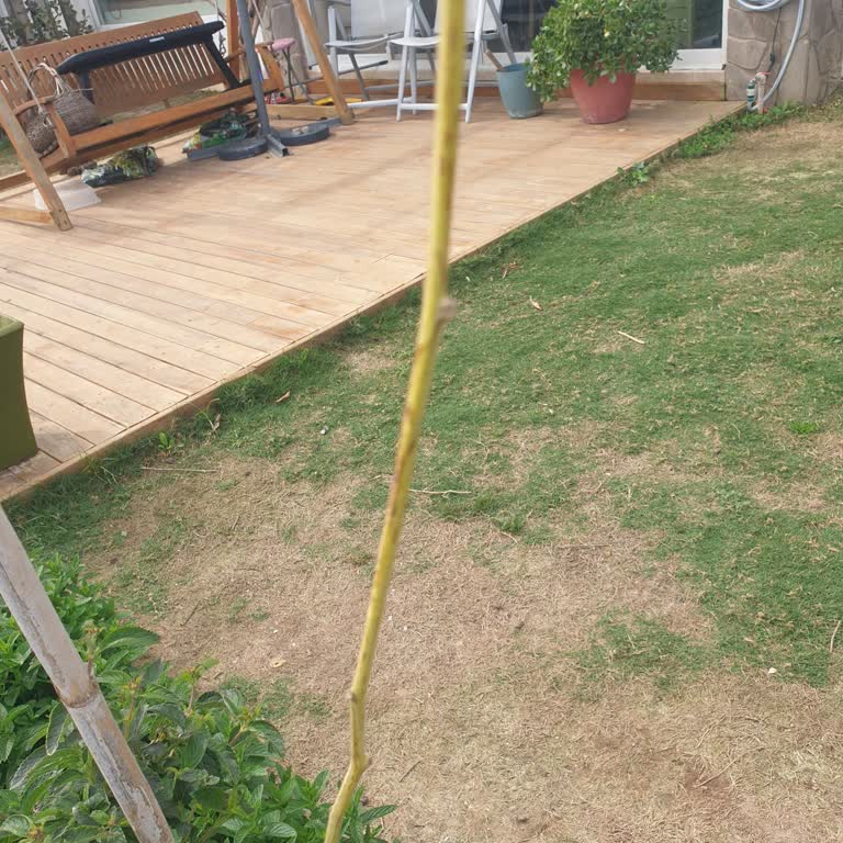 Sipariş Edilen Ürünün Görselden Farklı ve Eksik Gelmesi Hakkında Şikayet