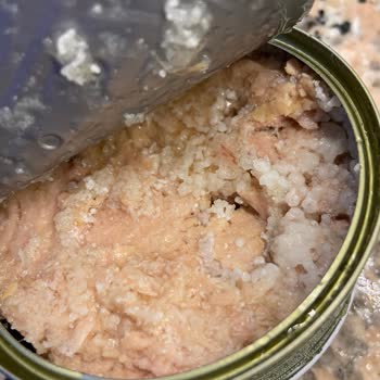 Son Kullanma Tarihi Geçmemiş Ton Balığında Mantar Benzeri Tabaka Oluştu, Güvenim Sarsıldı