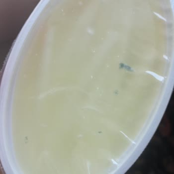 Aldığım Peynir Çubukları Küflü Çıktı Sağlığımız Tehlikede